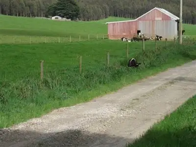 Sixth view of Homely rural property listing, 249 Maguires Road, Nabageena TAS 7330