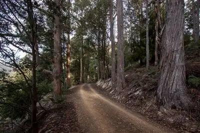 Sixth view of Homely land listing, Lot 1 Bakers Creek Trail, Lucaston TAS 7109