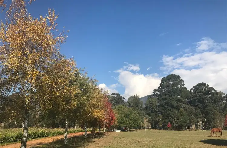 Seventh view of Homely land listing, 622 Goulburn Valley Highway, Thornton VIC 3712