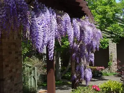 Second view of Homely house listing, 52 Merindah Road, Baulkham Hills NSW 2153