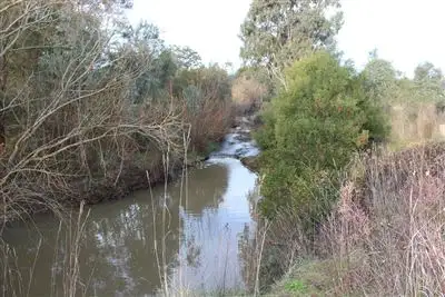 Main view of Homely land listing, 101 UT Creek Road, Alexandra VIC 3714