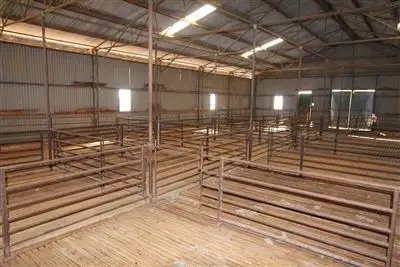 Seventh view of Homely rural property listing, . Oakvale Station, Burra SA 5417