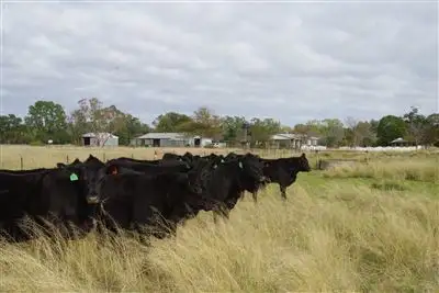 1527 Yarrie Lake Road, Narrabri NSW 2390