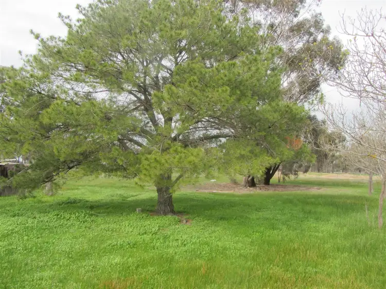 Third view of Homely rural property listing, 1627 Arcadia Two Chain Road, Miepoll VIC 3666