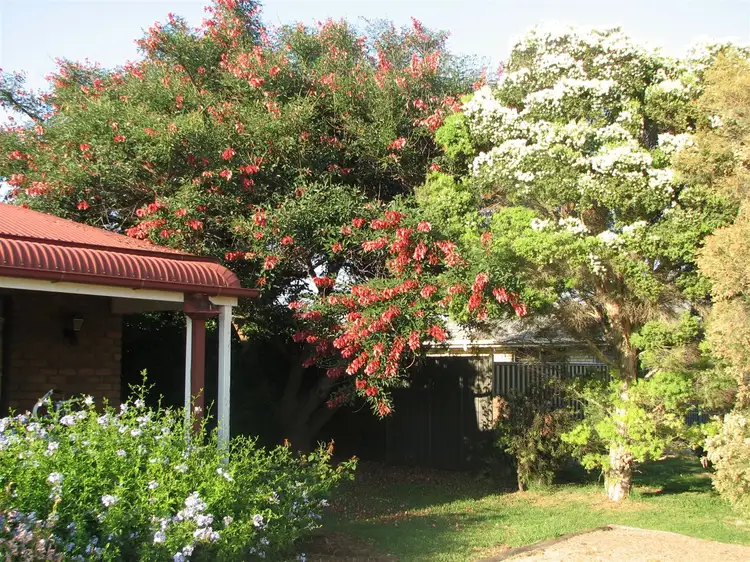 6023 Clifton Gatton Road, Clifton QLD 4361