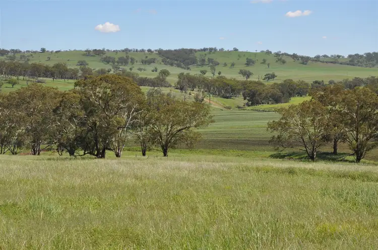 Main view of Homely rural property listing, 705 Coolah Rd, 'Culbara', Cassilis NSW 2329