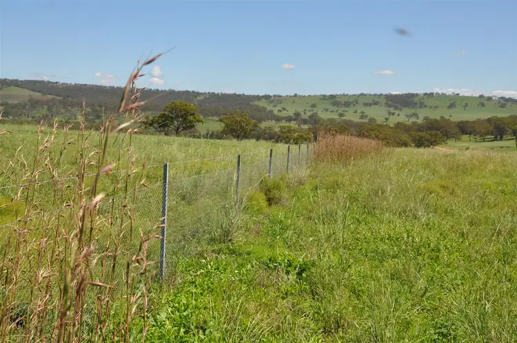 Sixth view of Homely rural property listing, 705 Coolah Rd, 'Culbara', Cassilis NSW 2329