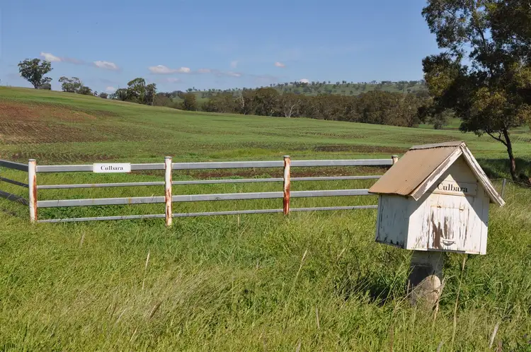 Seventh view of Homely rural property listing, 705 Coolah Rd, 'Culbara', Cassilis NSW 2329