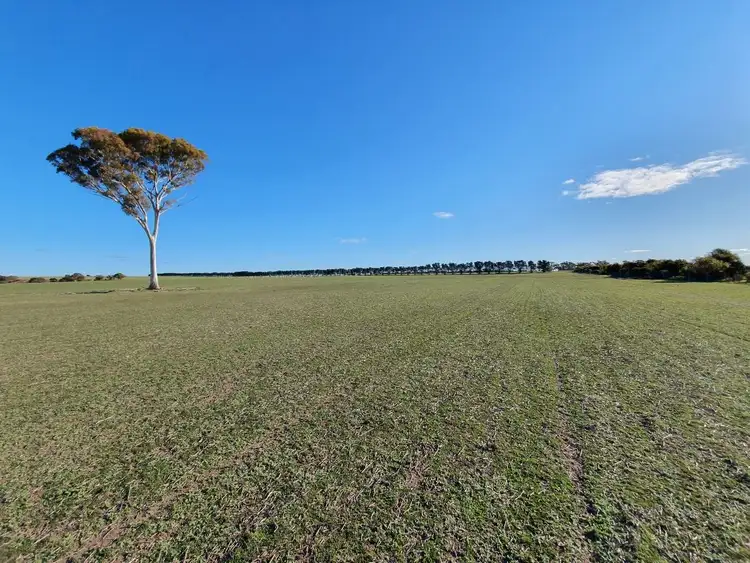 Fourth view of Homely rural property listing, Address available on request