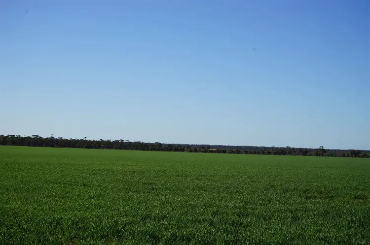 Sixth view of Homely rural property listing, Address available on request