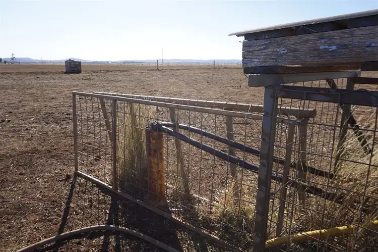 Seventh view of Homely rural property listing, 214 Beutel Road, Clifton QLD 4361