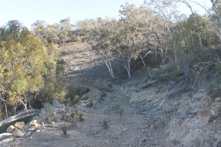 Third view of Homely rural property listing, 793 Gulf Rd, Emmaville NSW 2371