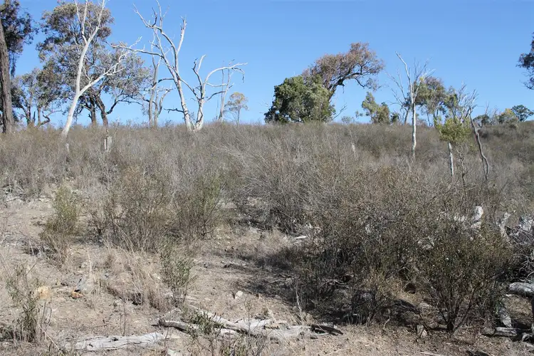 Seventh view of Homely rural property listing, 793 Gulf Rd, Emmaville NSW 2371