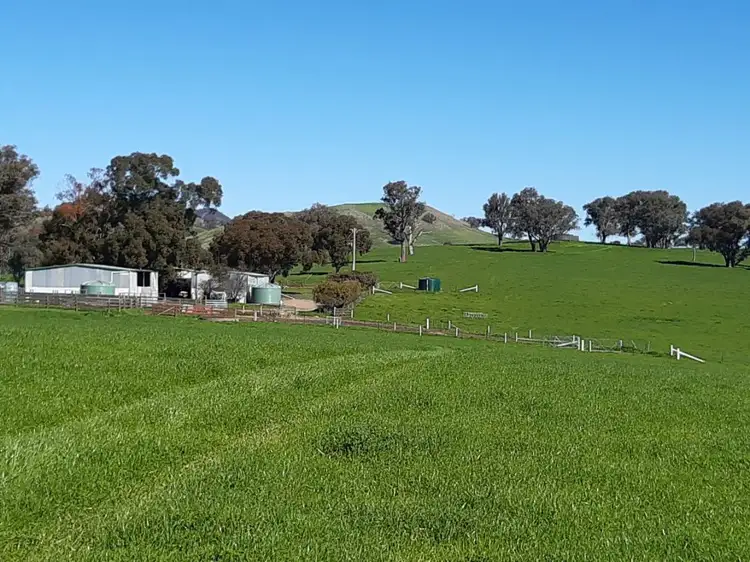 386 Molyullah-Tatong Road, Molyullah VIC 3673