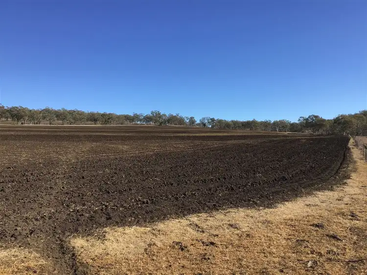 Seventh view of Homely rural property listing, 408 Forest Springs Goomburra Road, Allora QLD 4362