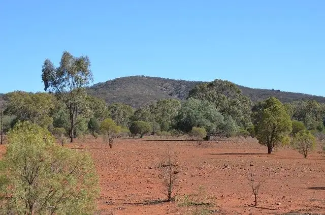 * Wilga Wood, Cobar NSW 2835