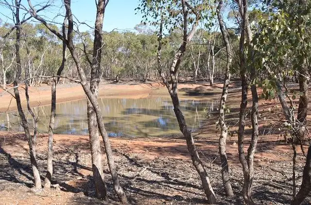 Sixth view of Homely rural property listing, * Wilga Wood, Cobar NSW 2835