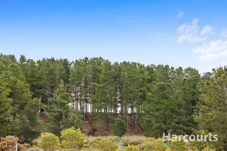 Sixth view of Homely land listing, CA 6 Addington Road, Ascot VIC 3364