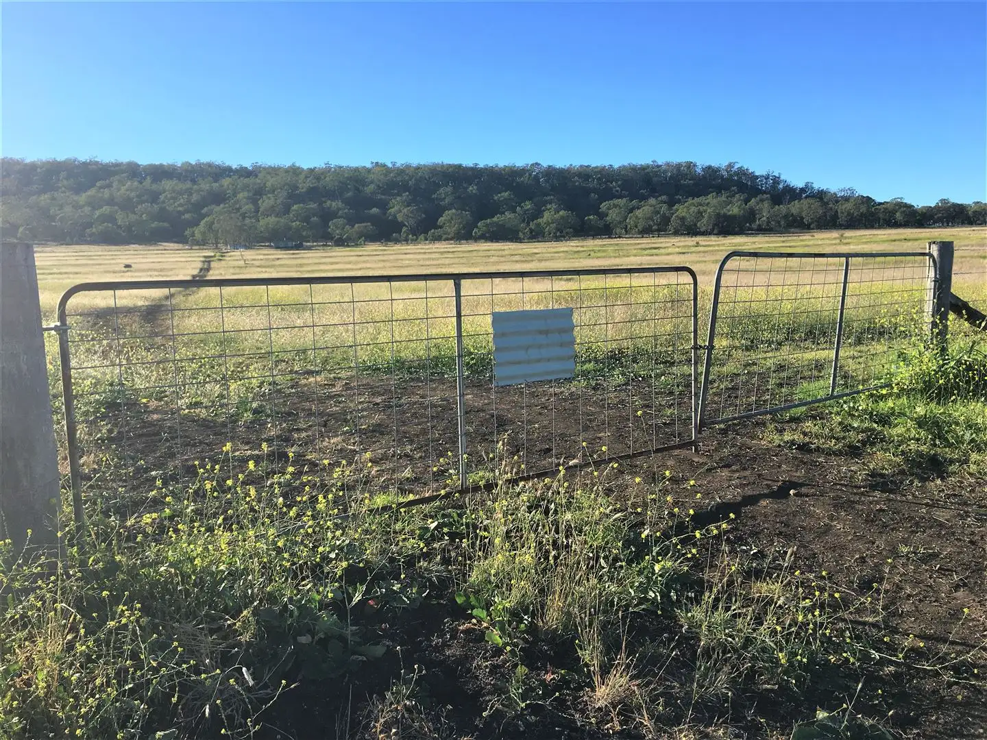 Main view of Homely rural property listing, Lot 5 Moar Road, Pilton QLD 4361