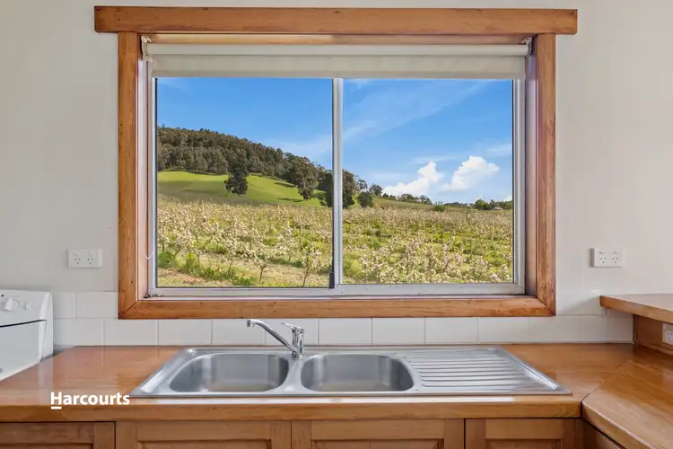 Fourth view of Homely house listing, 318 Scotts Road, Cairns Bay TAS 7116