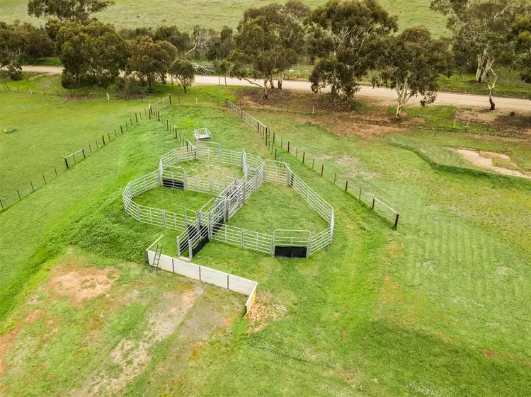 Fourth view of Homely rural property listing, 223 The Glen Road, Harrogate SA 5244