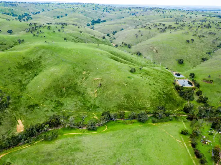 Sixth view of Homely rural property listing, 223 The Glen Road, Harrogate SA 5244