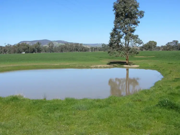 Second view of Homely rural property listing, 56 Kellys Lane, Violet Town VIC 3669