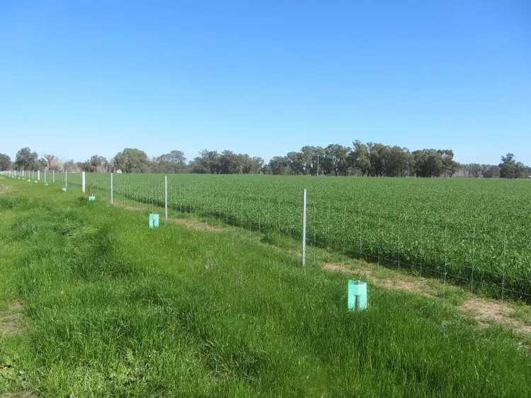 Third view of Homely rural property listing, 56 Kellys Lane, Violet Town VIC 3669