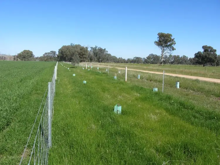 Fourth view of Homely rural property listing, 56 Kellys Lane, Violet Town VIC 3669
