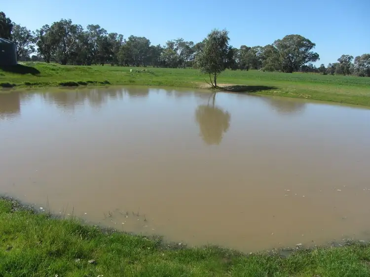 Fifth view of Homely rural property listing, 56 Kellys Lane, Violet Town VIC 3669