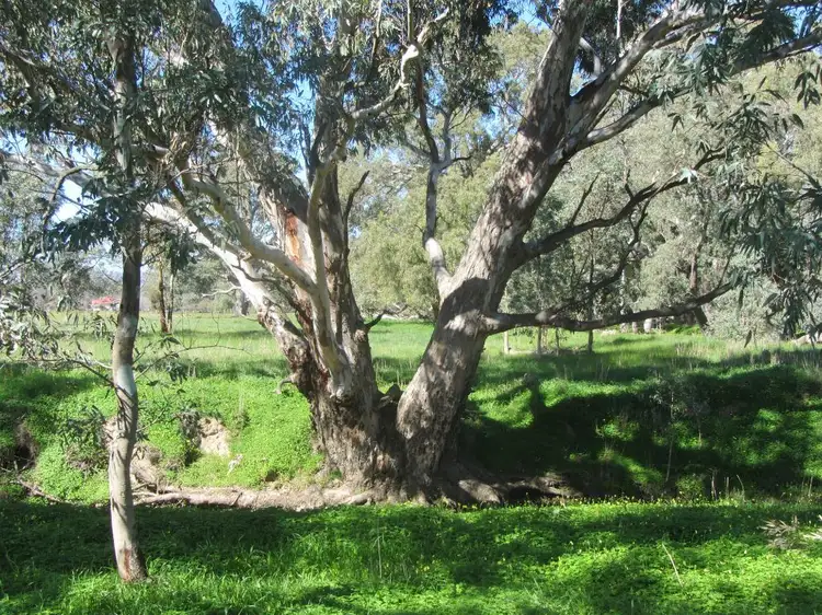 Seventh view of Homely rural property listing, 56 Kellys Lane, Violet Town VIC 3669