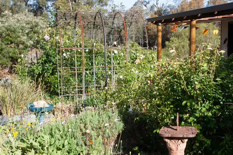 Fifth view of Homely rural property listing, 77 Heritage Road, St Helens TAS 7216