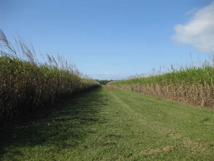 Seventh view of Homely rural property listing, Address available on request