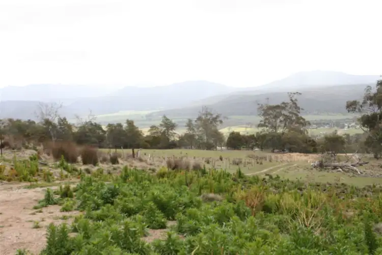 Fourth view of Homely rural property listing, 1 Sorell St, Fingal TAS 7214