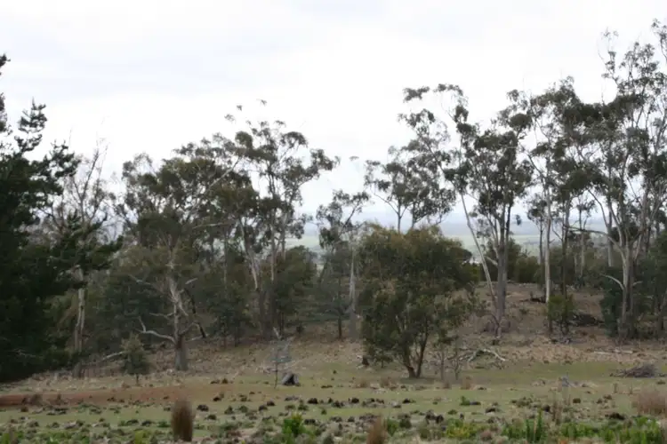 Fifth view of Homely rural property listing, 1 Sorell St, Fingal TAS 7214
