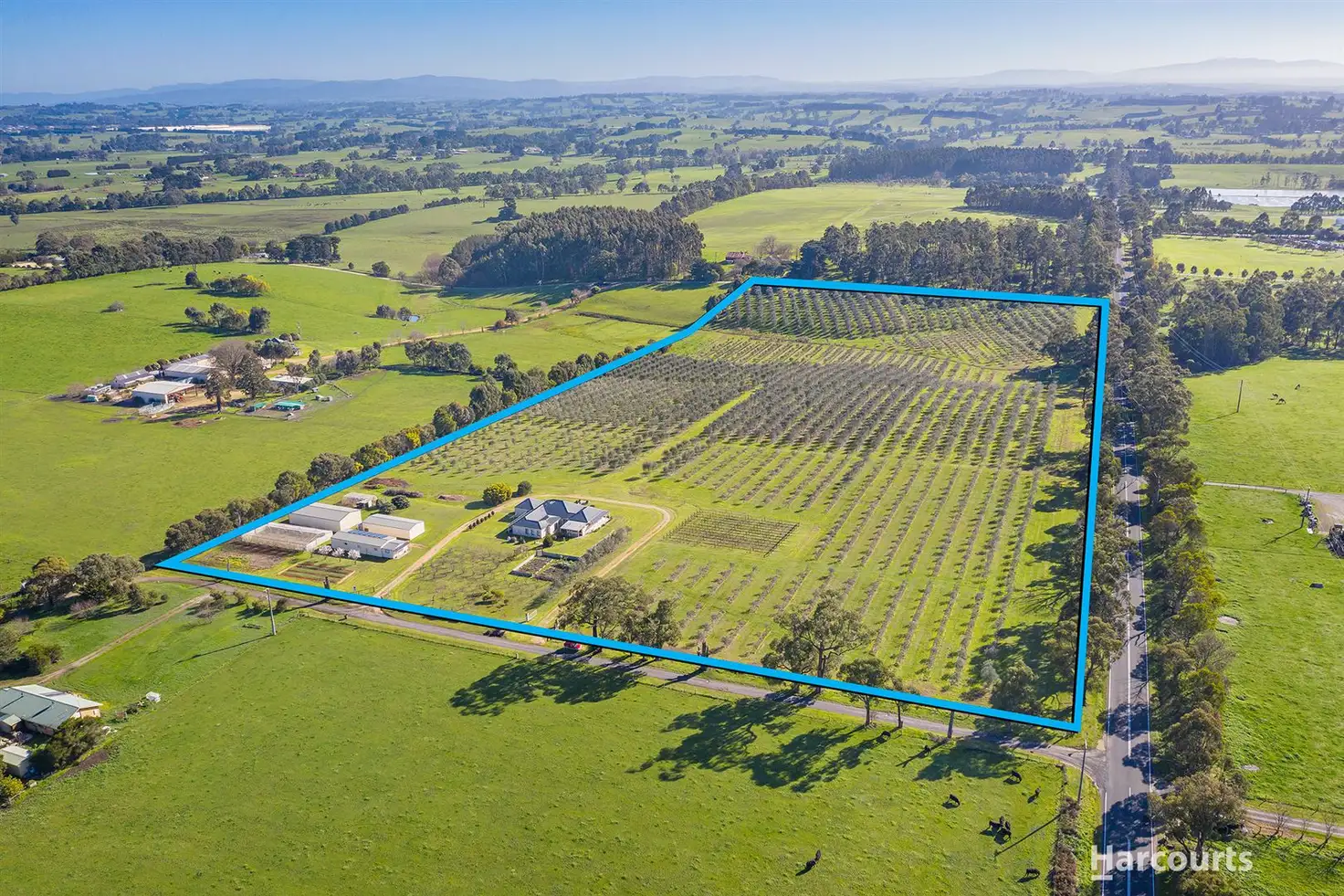 Main view of Homely rural property listing, 16 Shearmans Road, Darnum VIC 3822