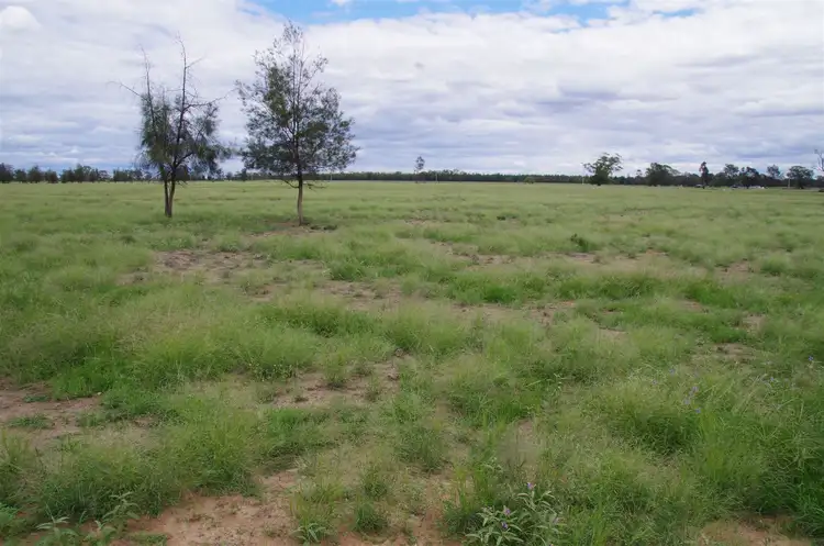 Third view of Homely rural property listing, 863 Kiandool Lane, Narrabri NSW 2390