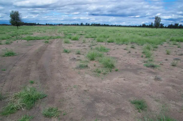 Fourth view of Homely rural property listing, 863 Kiandool Lane, Narrabri NSW 2390