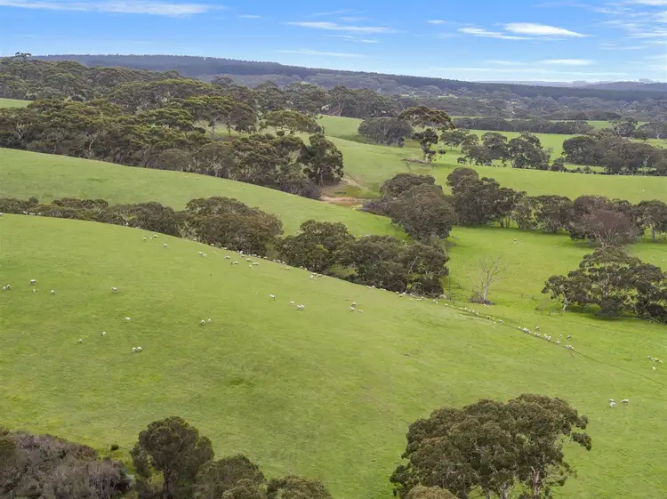 Second view of Homely rural property listing, 469 Bark Hut Road, Cassini SA 5223