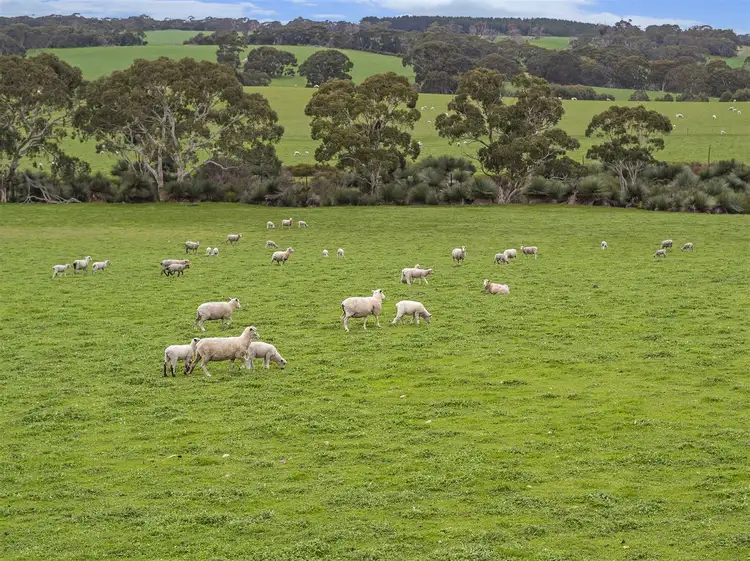 Fifth view of Homely rural property listing, 469 Bark Hut Road, Cassini SA 5223