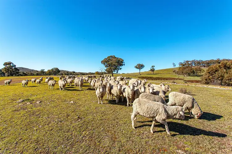 Fourth view of Homely rural property listing, 1669 Redground Road, Binda/, Crookwell NSW 2583