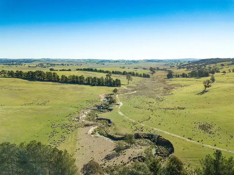 Fifth view of Homely rural property listing, 1669 Redground Road, Binda/, Crookwell NSW 2583