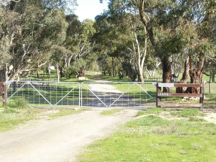 Third view of Homely rural property listing, Marapana/3692 Riddoch Highway, Keith SA 5267
