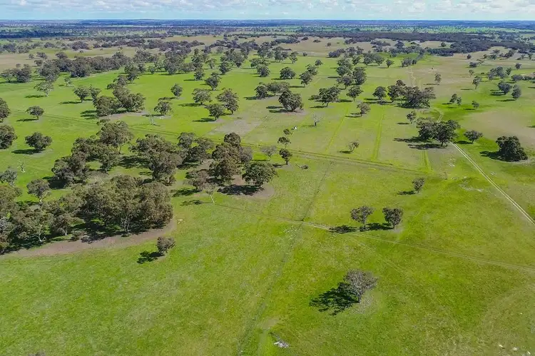 Fourth view of Homely rural property listing, Marapana/3692 Riddoch Highway, Keith SA 5267