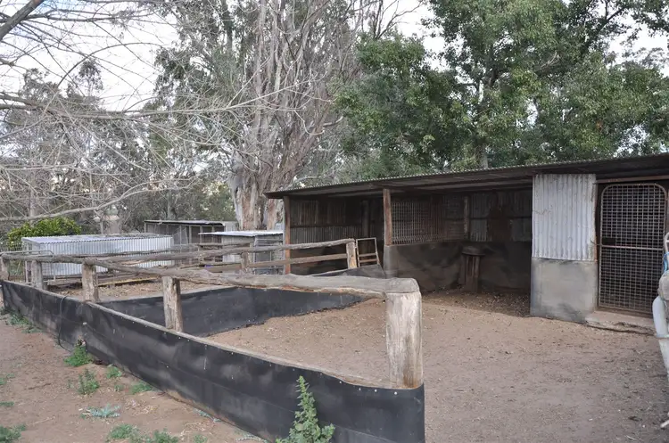 Sixth view of Homely rural property listing, 51 Queen St, Bunnan via, Scone NSW 2337