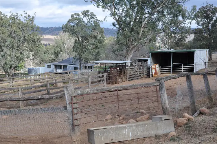 Seventh view of Homely rural property listing, 51 Queen St, Bunnan via, Scone NSW 2337