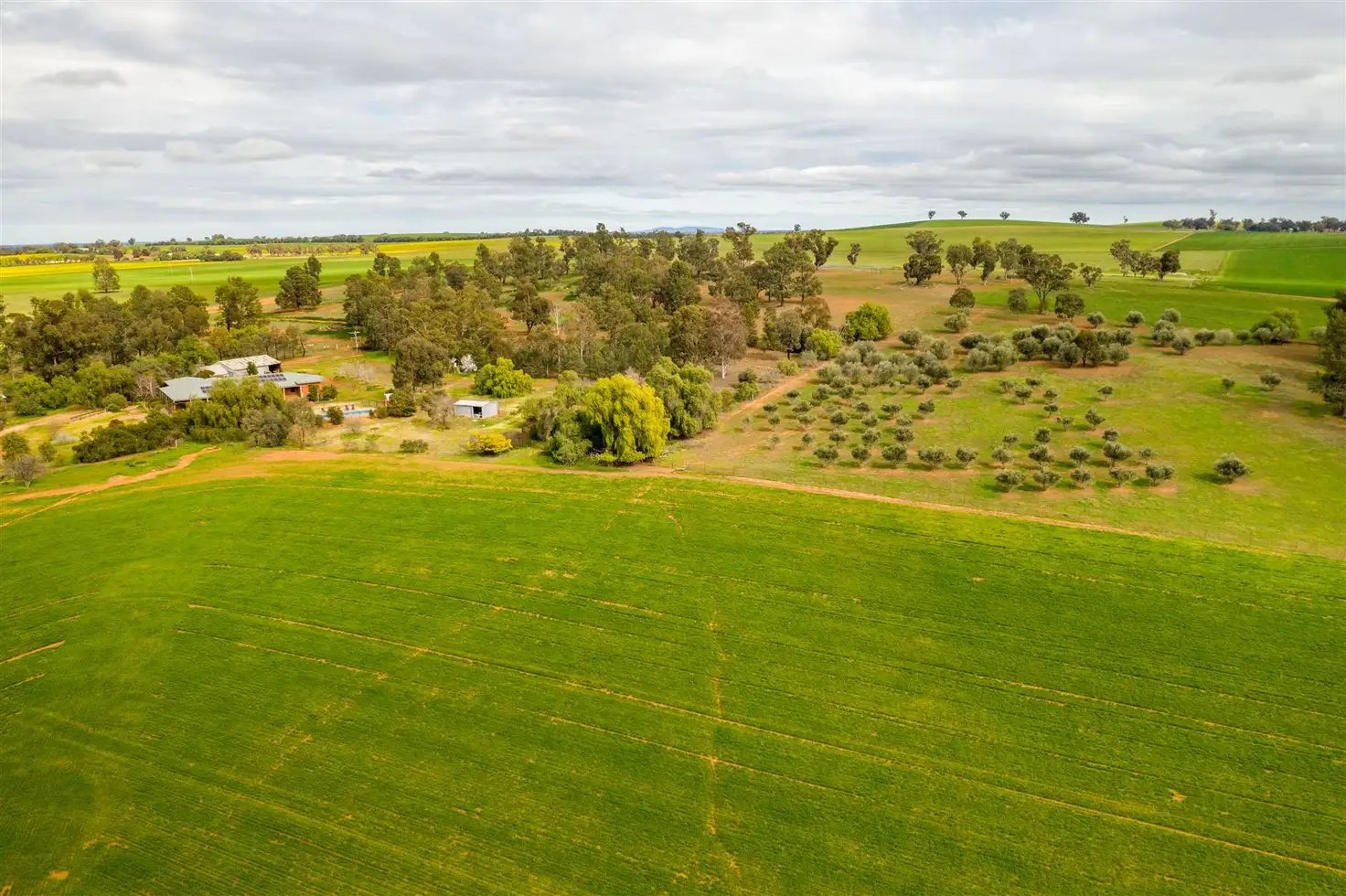 Main view of Homely rural property listing, 697 Tooyal Road, The Gap via, Wagga Wagga NSW 2650