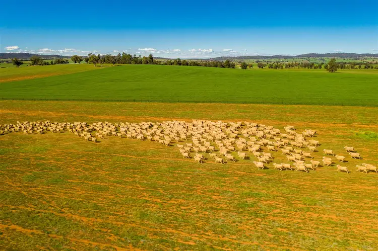 Third view of Homely rural property listing, 697 Tooyal Road, The Gap via, Wagga Wagga NSW 2650