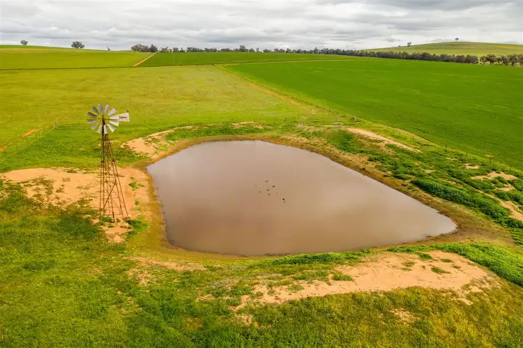 Fifth view of Homely rural property listing, 697 Tooyal Road, The Gap via, Wagga Wagga NSW 2650