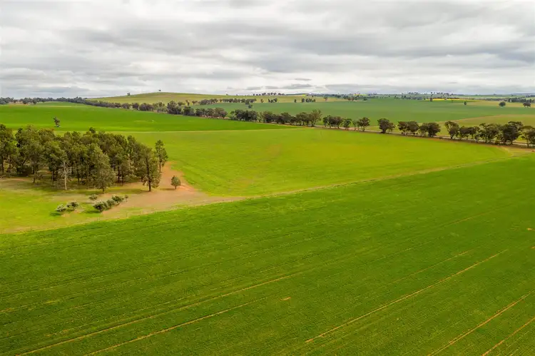 Seventh view of Homely rural property listing, 697 Tooyal Road, The Gap via, Wagga Wagga NSW 2650